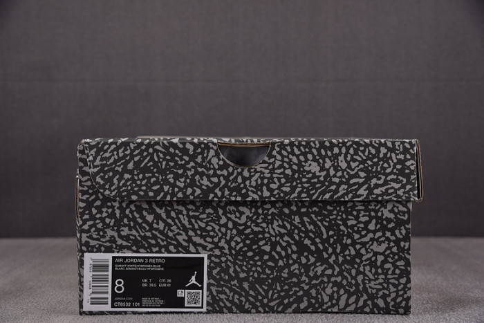 Air Jordan 3 Retro Lucky Shorts CT8532-101