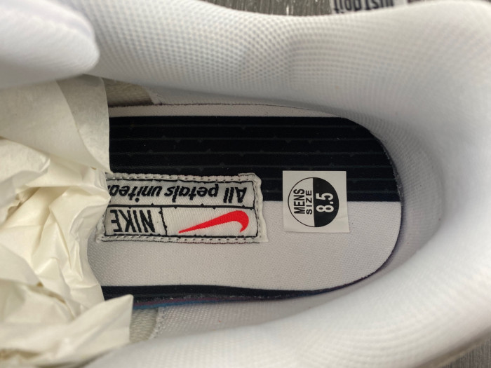 Nike Air Max 1 “All Petals United” FQ0256-131