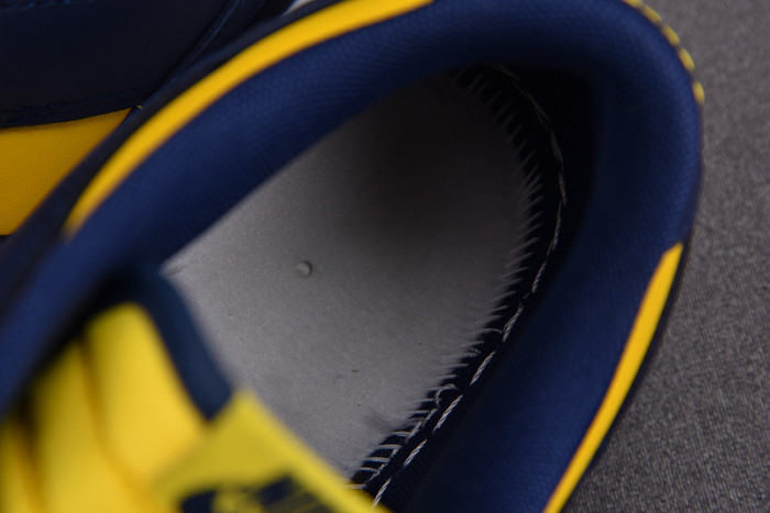 NIKE DUNK LOW “MICHIGAN” DD1391-700