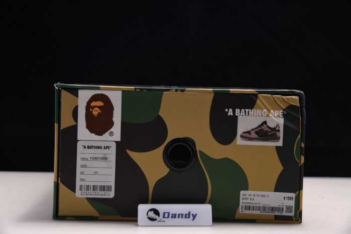 BAPE Shoe