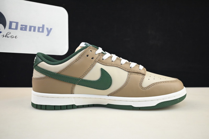 Nike Dunk Low Retro FB7160-231