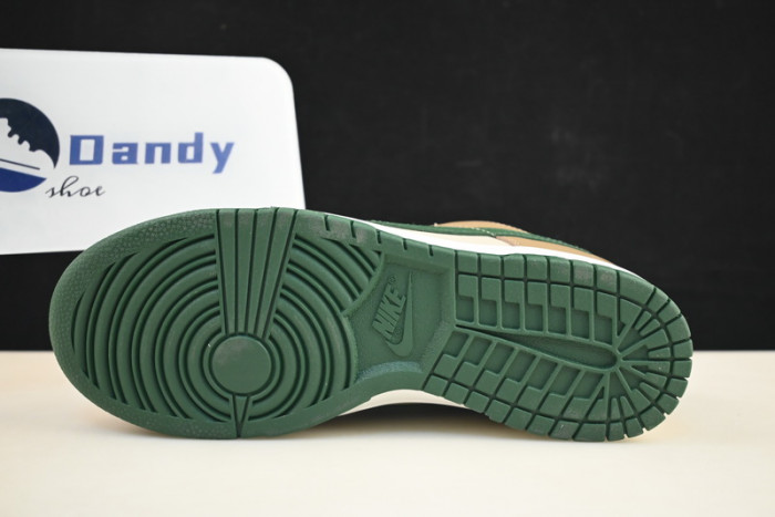 Nike Dunk Low Retro FB7160-231