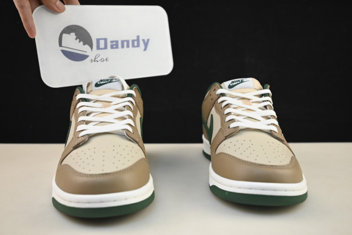 Nike Dunk Low Retro FB7160-231