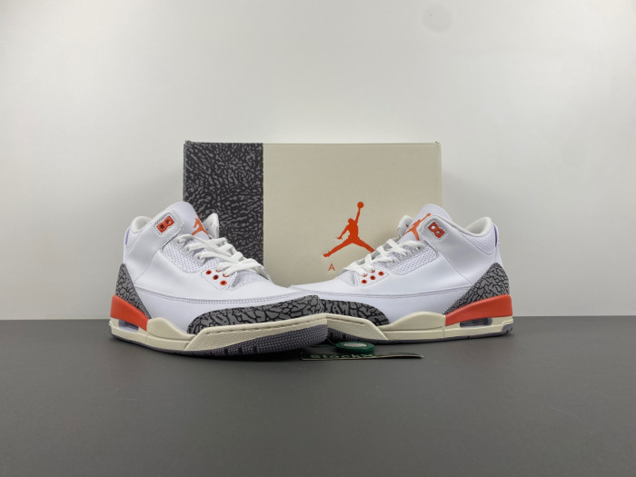 Air Jordan 3 Retro Georgia Peach (Women