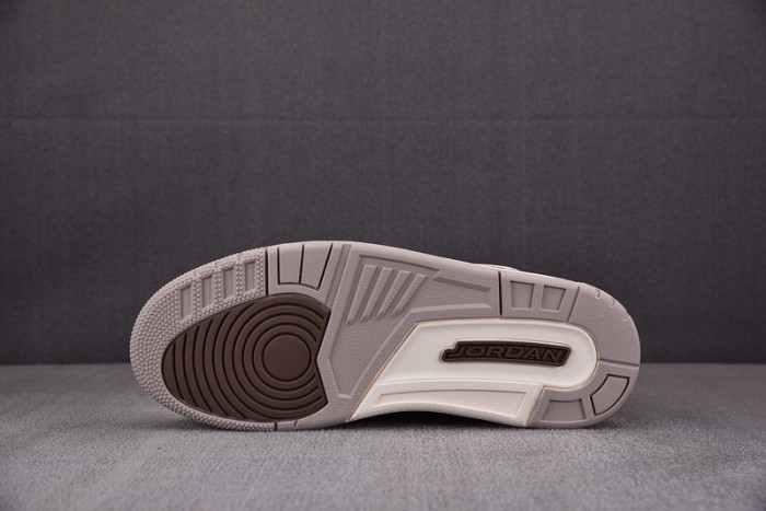Air Jordan 3 “Palomino” CT8532-102
