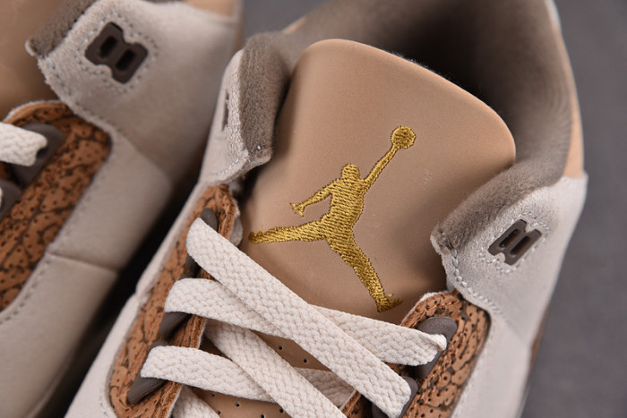 Air Jordan 3 “Palomino” CT8532-102