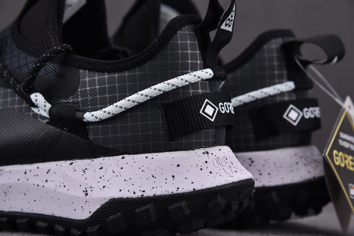 NK ACG Mountain Fly Low GTX SE DD2861-010