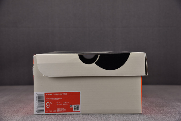 Nike Dunk Low Houston Comets Four-Peat (Women