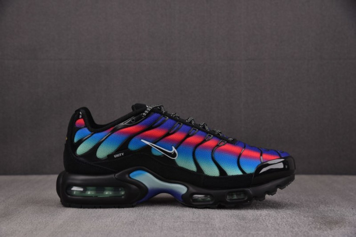 Nike Air Max Plus Black Blue Red  DZ4509-001
