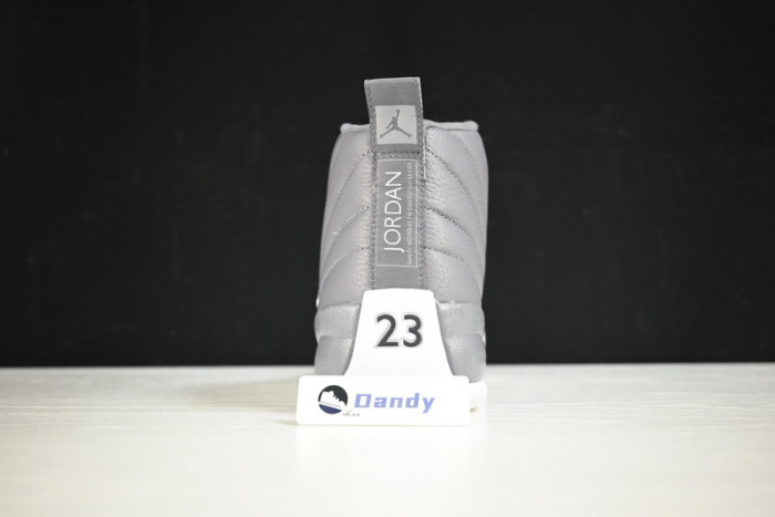 AIR JORDAN 12 STEALTH/WHITE-COOL GREY CT8025-610