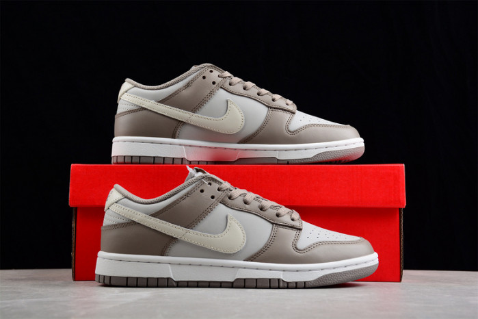 Nike Dunk Low Style FD0792-001