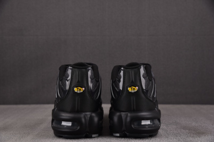 Nike Air Max Plus PSG Paris Saint-Germain Black Particle Grey  IB2253-001