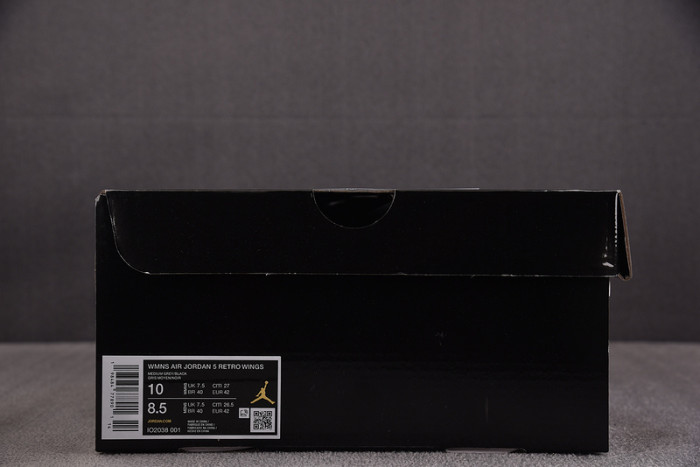 Air Jordan 5 Retro Wings (2025) (Women