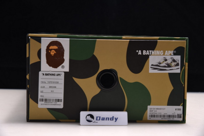 BAPE Shoe