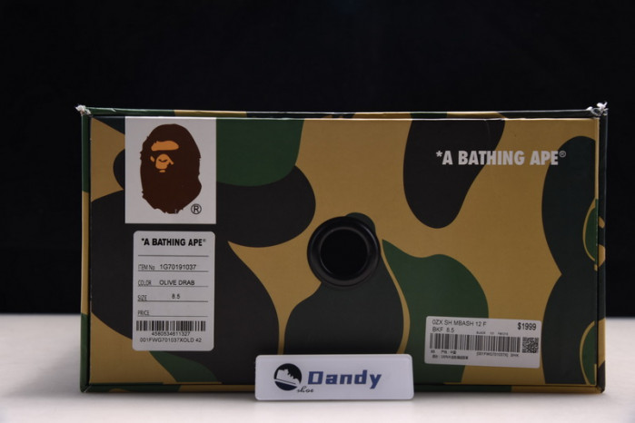 BAPE Shoe